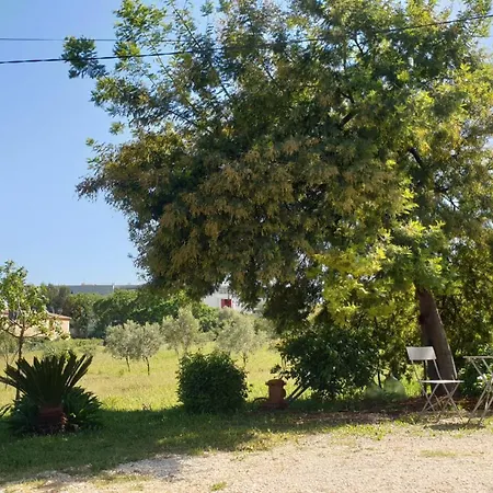 L'oliveraie Lägenhet