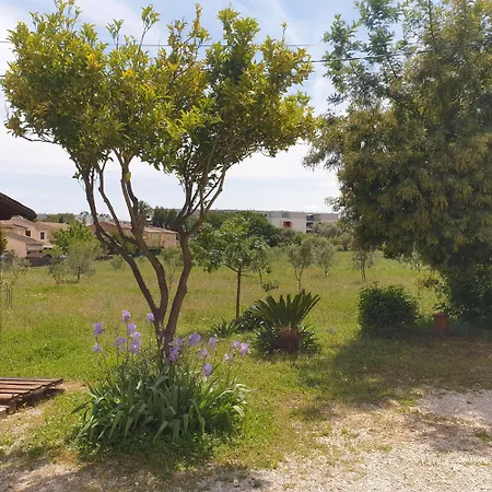 L'oliveraie